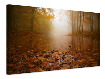 canvas-print-autumn-flooding-x