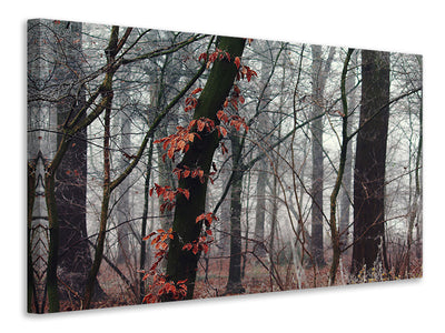 canvas-print-autumn-winter