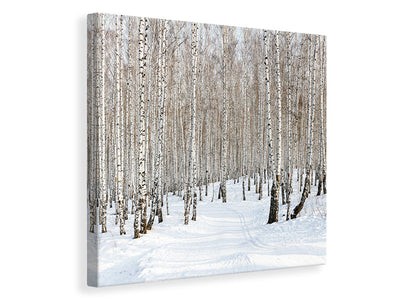 canvas-print-birch-forest-tracks-in-snow