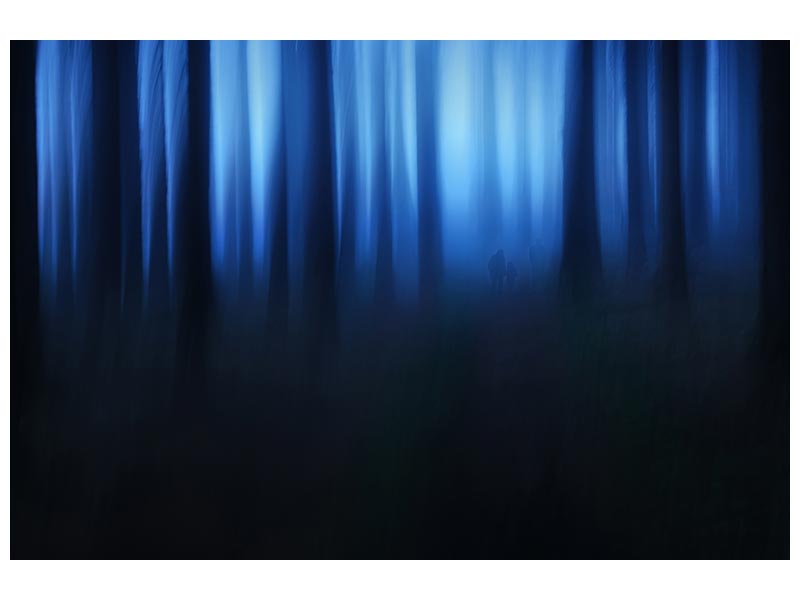 canvas-print-blue-hour-x