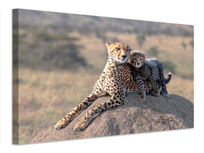 canvas-print-cheetah-and-cup-x