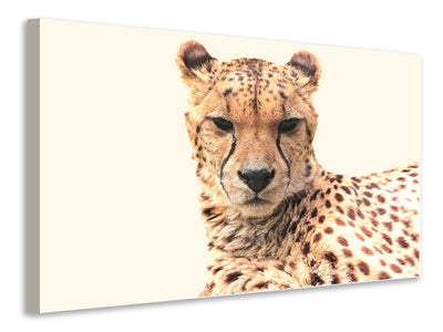 canvas-print-cheetah-in-the-sun