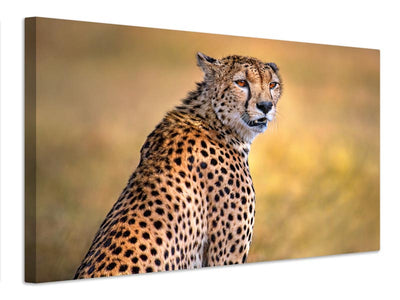 canvas-print-cheetah-portrait-x