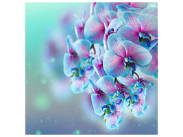 canvas-print-colored-orchids