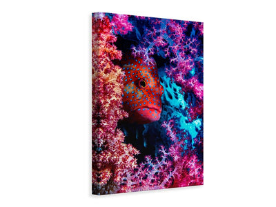 canvas-print-coral-hind-x