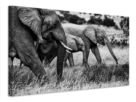canvas-print-elephant-family-x