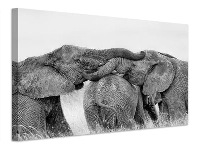 canvas-print-elephant-playing-x