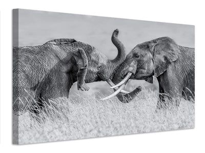canvas-print-elephant-qtai-chiq-x