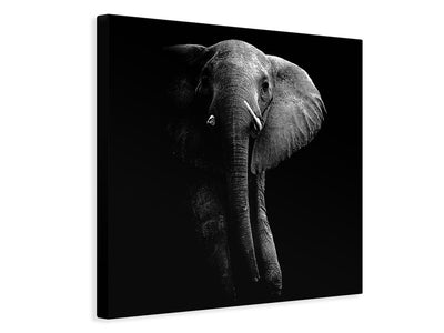 canvas-print-elephant-x