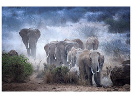 canvas-print-elephants-of-amboseli-x