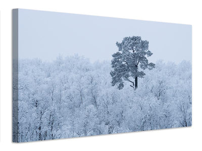 canvas-print-first-snow-x