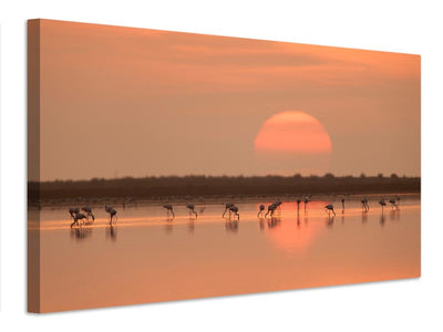 canvas-print-flamingos-at-sunrise-x