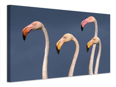 canvas-print-flamingos-close-up-x
