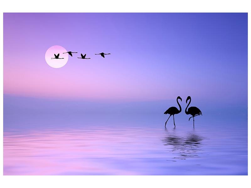 canvas-print-flying-flamingo-x