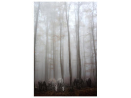 canvas-print-fog-x