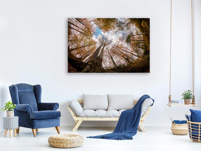 canvas-print-forest-xax