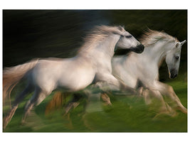 canvas-print-gallop-for-two
