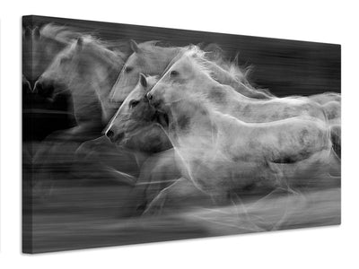 canvas-print-gallop-in-the-repetition-x