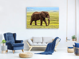 canvas-print-gorgeous-elephant
