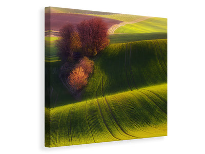 canvas-print-green-fields