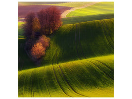 canvas-print-green-fields