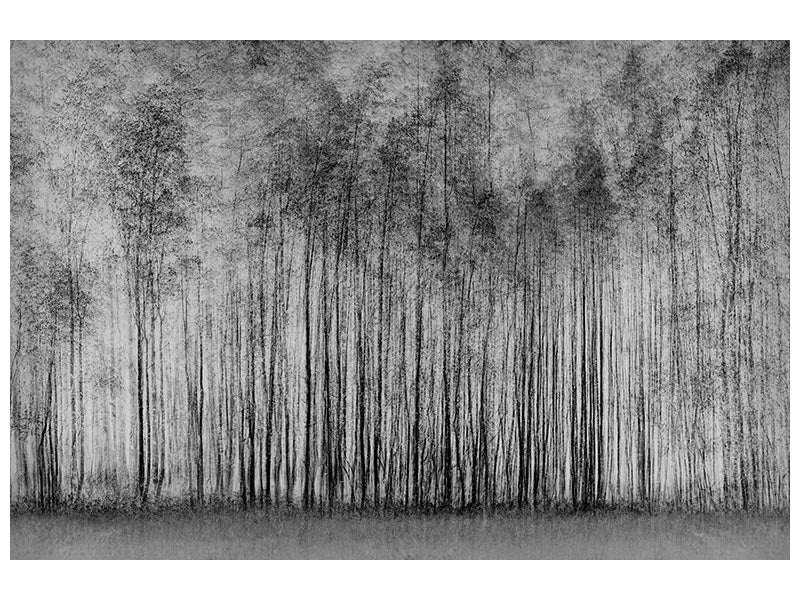 canvas-print-impenetrable-forest-x