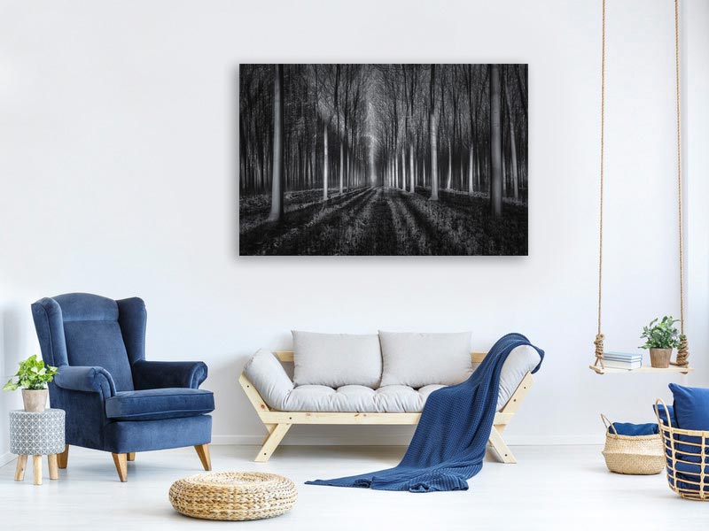 canvas-print-into-the-forest-x