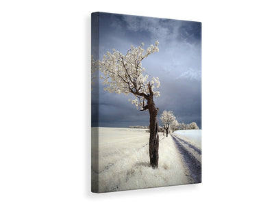 canvas-print-irenka