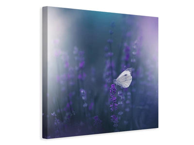 canvas-print-lavender-queen-xit