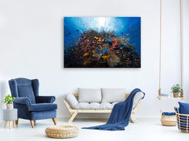 canvas-print-life-explosion