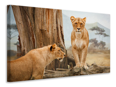 canvas-print-lions-in-africa