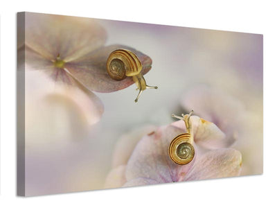 canvas-print-little-snails-x
