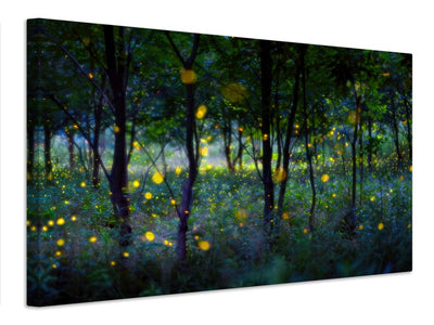 canvas-print-magic-fireflies-x