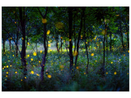 canvas-print-magic-fireflies-x