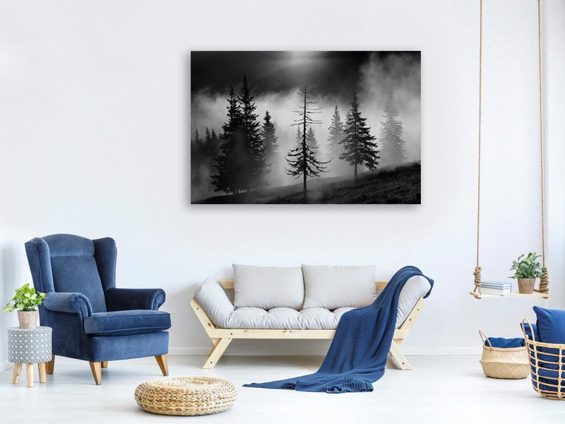 canvas-print-misty-forest-x