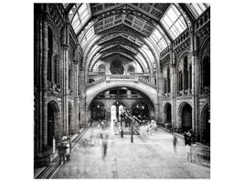canvas-print-natural-history-museum-of-london-x
