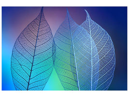 canvas-print-prismatic-leafs-x