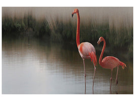 canvas-print-red-flamingo-ii
