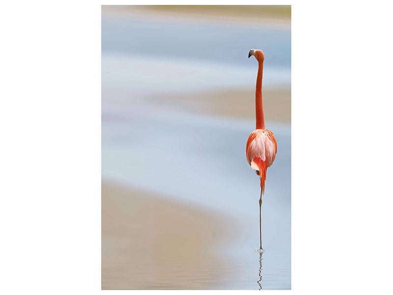 canvas-print-red-flamingo