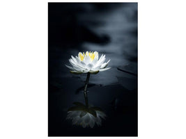 canvas-print-reflection-x