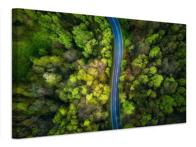 canvas-print-road-in-the-forest-x