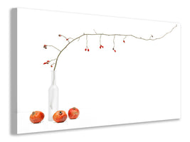 canvas-print-rose-hip-branch-with-pomegranates