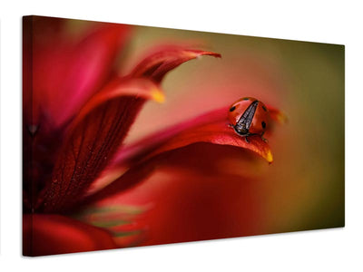 canvas-print-simply-red-x