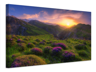 canvas-print-spring-in-show-x