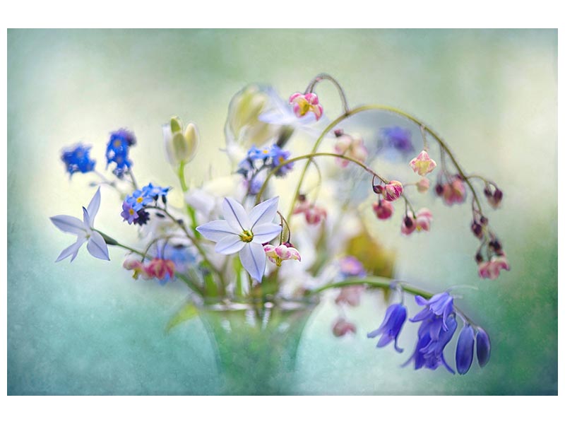 canvas-print-spring-treasures-x