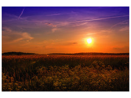 canvas-print-sunset-at-the-flower-field