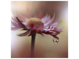 canvas-print-tears-of-time
