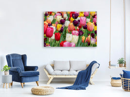 canvas-print-the-colors-of-the-tulips