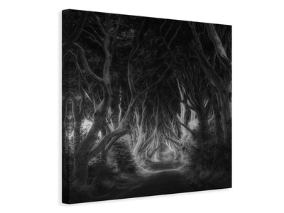 canvas-print-the-dark-hedges-x