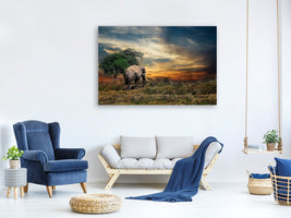 canvas-print-the-elephant-in-the-sunset